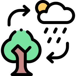 Ecosystem icon