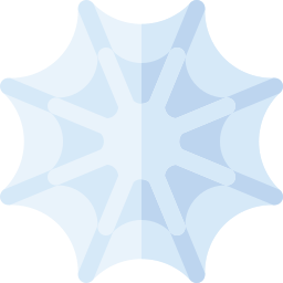 Cobweb icon