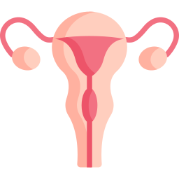 Репродуктивная система иконка
