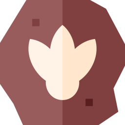 dinosaurier icon