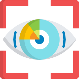 Vision icon