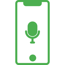 Voice icon