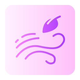 wind icon