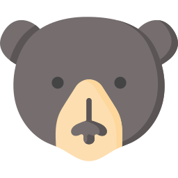 Bear icon