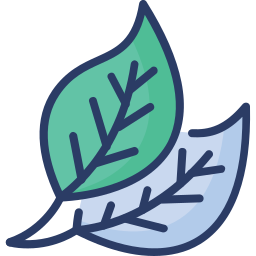 Leaf icon