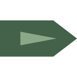 Right arrow icon