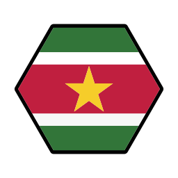 수리남 icon
