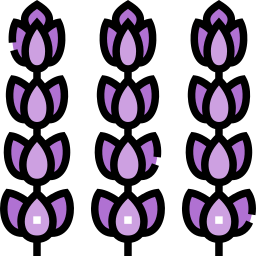 lavanda icona