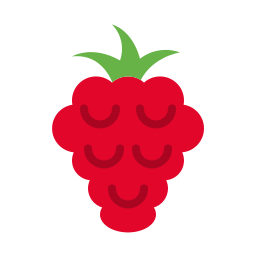 Raspberry icon