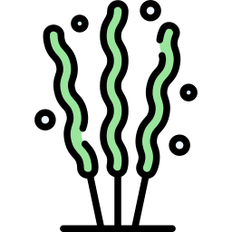 Algae icon
