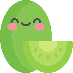 kiwi icon