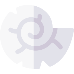 アンモナイト icon