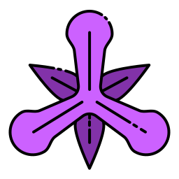 Iris icon