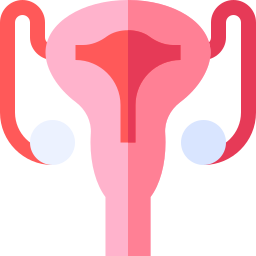 sistema reproductivo icono