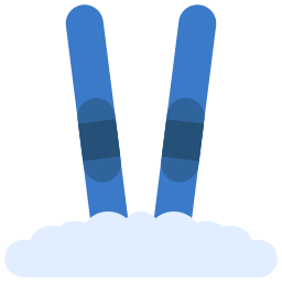 Skis icon