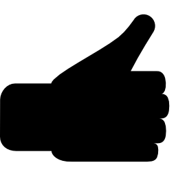 Thumb up gesture of filled hand icon