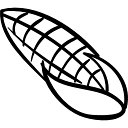 Corn cob hand drawn vegetable icon