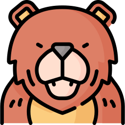 orso icona