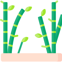 Bamboo icon