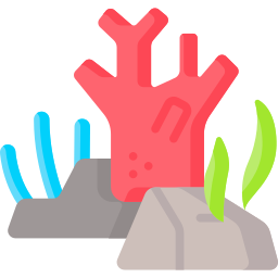 Coral icon