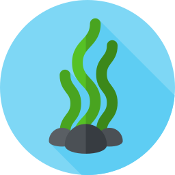 Algae icon
