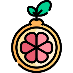 grapefruit icon