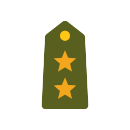 Insignia icon