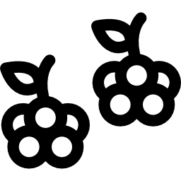 블랙 베리 icon