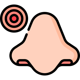 코 icon