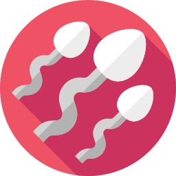 sperma icon