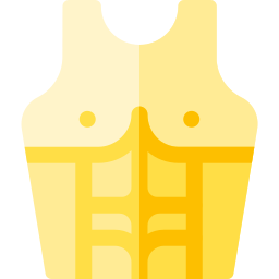 Armor icon