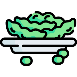 Edamame icon