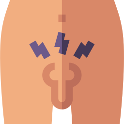 前立腺 icon
