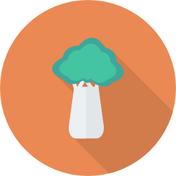 brócoli icono