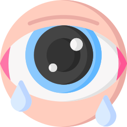 Conjunctivitis icon