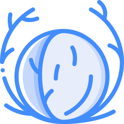 텀블위드 icon