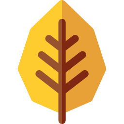 Alder icon