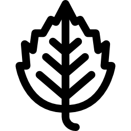 シラカバ icon