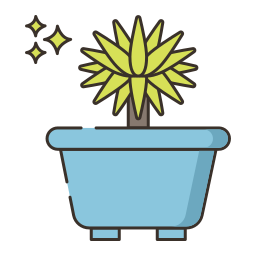 dracaena icon