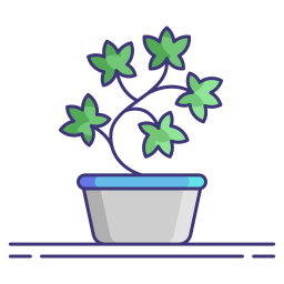 English ivy icon