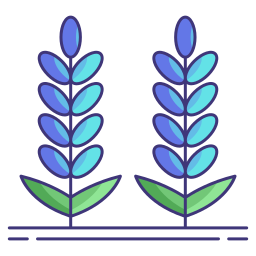 Lavender icon