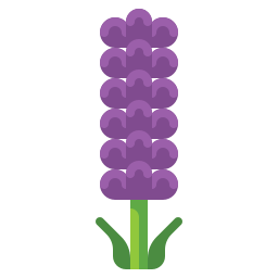 lavendel icon