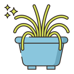 거미 식물 icon