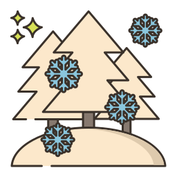 Winter icon