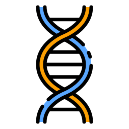 adn Icône