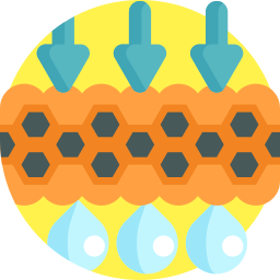 membrana icona