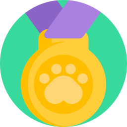 Medal icon