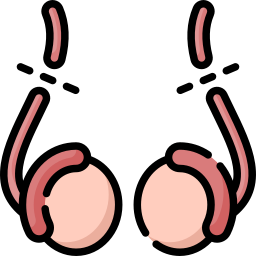Vasectomy icon