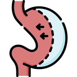 Bariatric surgery icon