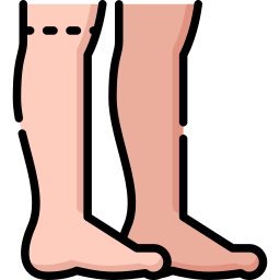 Leg icon